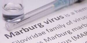Virus Marburg image