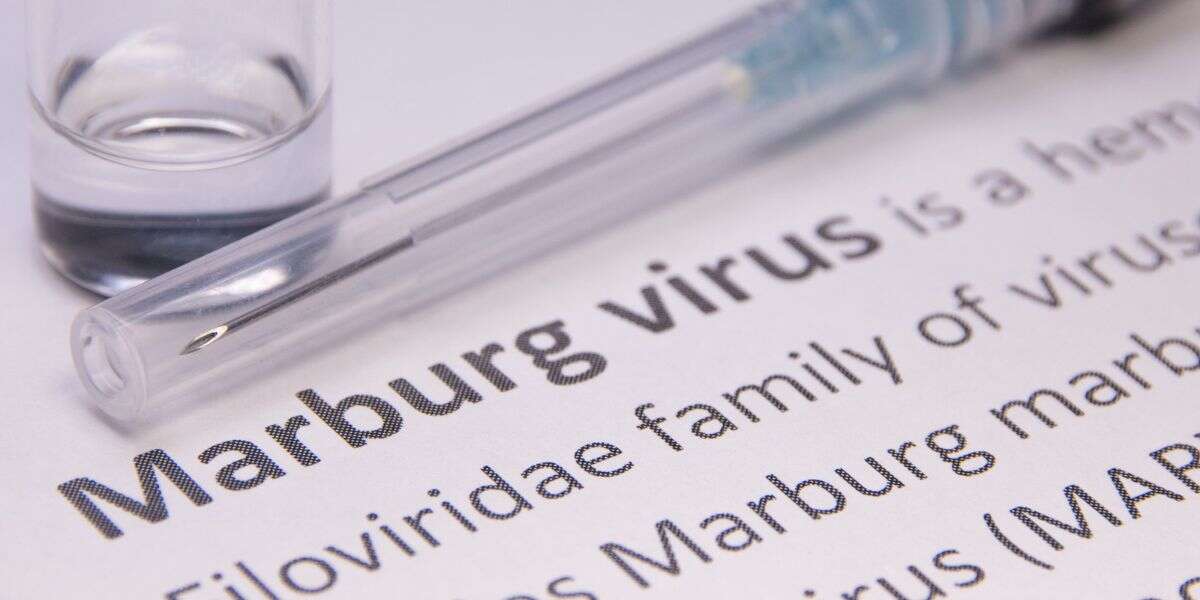 Virus Marburg image